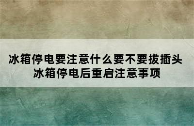 冰箱停电要注意什么要不要拔插头 冰箱停电后重启注意事项